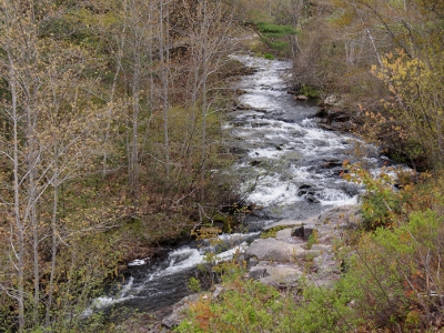 [Shallow, turbulent stream zigging from upper middle of photo to lower left. Lots of vegetation around it.]